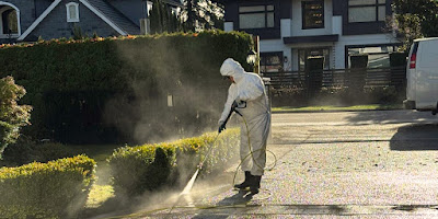 Driveway pressure wash